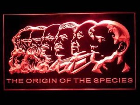 Origin Of Species LED Neon Sign